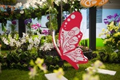 LES FLORALIES